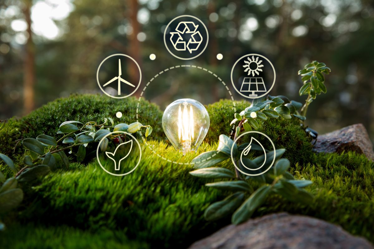 Green,Forest,With,Moss,And,Grass,With,Lightbulb.,Symbols,Of