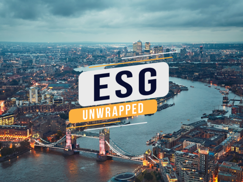 ESG Unwrapped People with Purpose Roundtable
